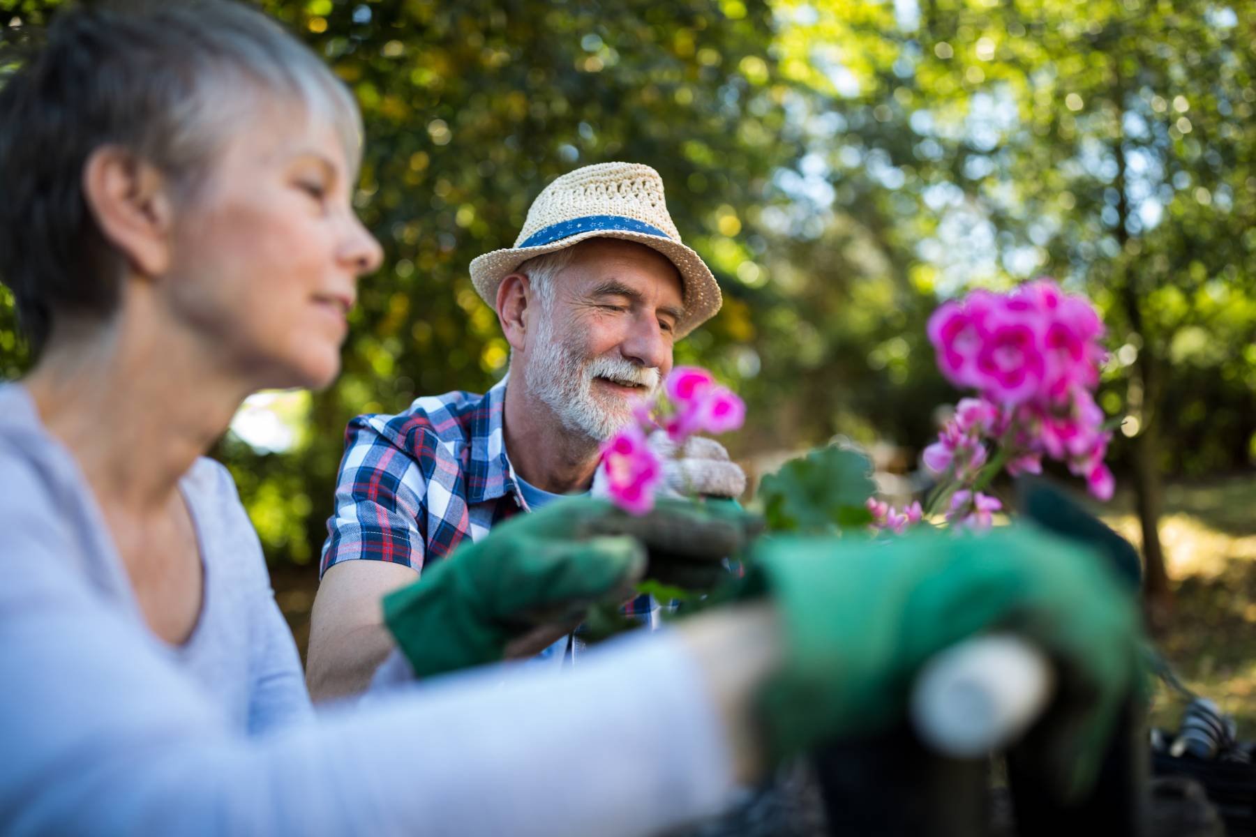 Senior Couple Gardening